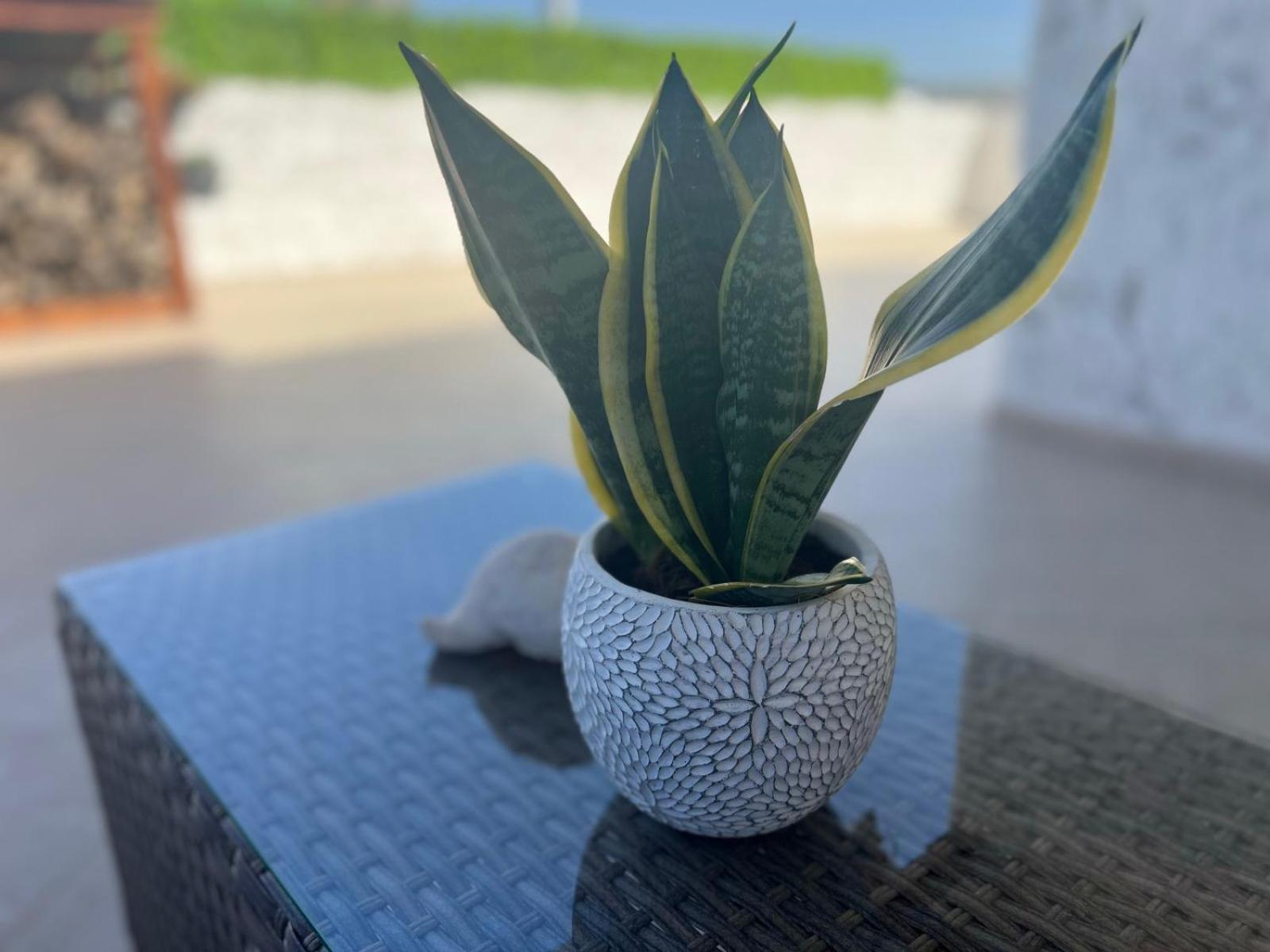 Katerina House Apartment Heraklion  Ngoại thất bức ảnh
